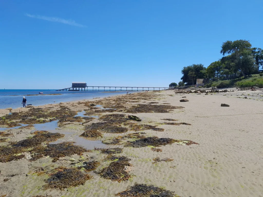 Bembridge Beach Isle of Wight