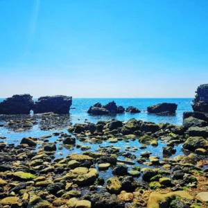 Tide Times on the Isle of Wight