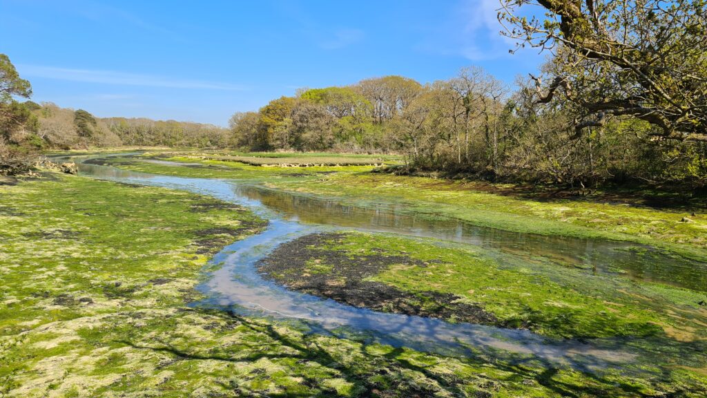 Newtown Creek Walking Isle of Wight Isle Soul