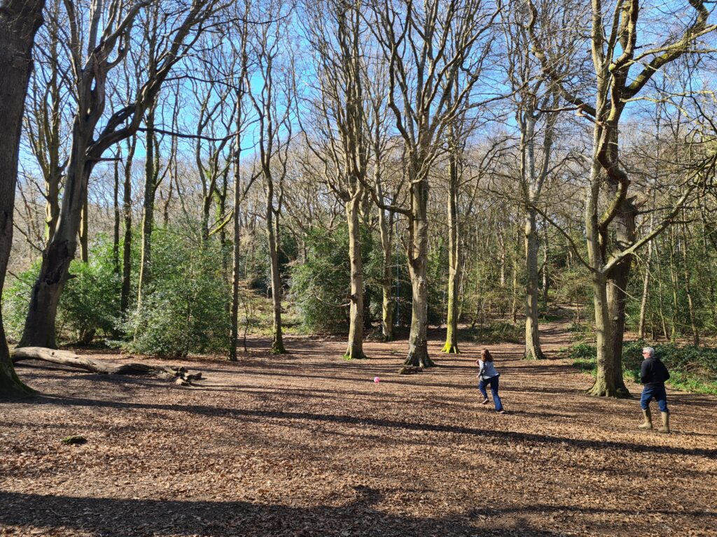 Borthwood Copse near Sandown